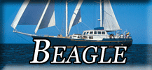 Beagle button